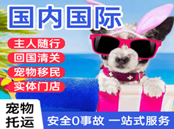 黑河瑷珲航空快递国际宠物托运 【国